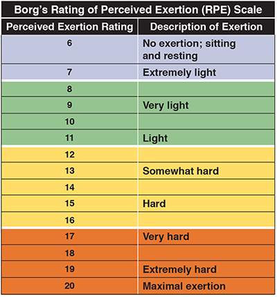 Borg’s Rating of Perceived Exertion (RPE) Scale, showing no exertion (6), extremely light (7), very light (9), light (11), somewhat hard (13), hard (15), very hard (17), extremely hard (19), and maximal exertion (20).