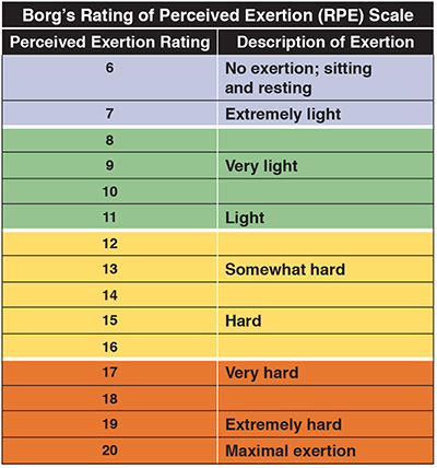 Aerobic 2024 training intensity