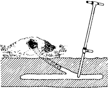 Fig. 1: Illustration of the correct way to use a runway probe.