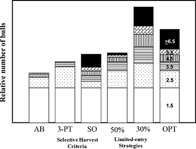 Fig. 04: Bar graph showing Preseason age structure of ungulates under common harvest strategies. Thirty percent bull mortality has the highest number of bulls, followed by optimal, 50% bull mortality, open entry, three-point or better, and any bull.