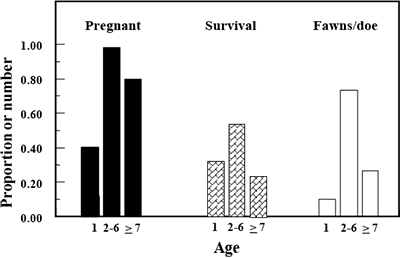 Fig. 05: Bar graph showing how pregnancy and number of fetuses per doe both decline with age.