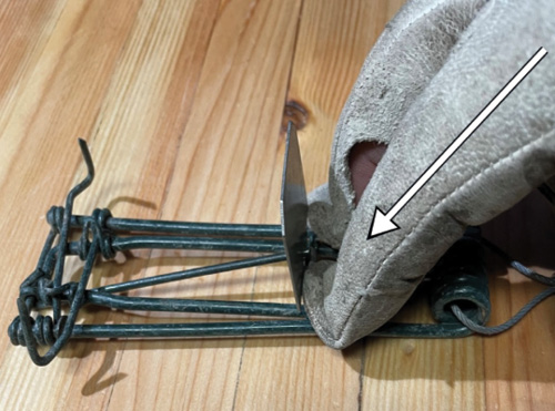 A person wearing a glove is demonstrating the setup of a metal animal trap.