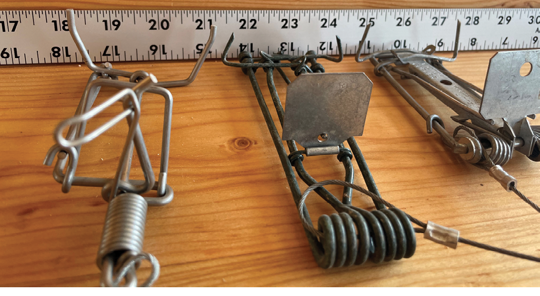 A close-up view of various types of metal traps displayed alongside a ruler for size reference.
