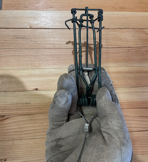 A gloved hand holding a metal trap, demonstrating how to use it. Front view.