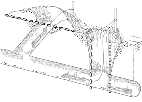 Illustration of pocket gopher burrow and tunnel distributions, showing how and where to place traps.
