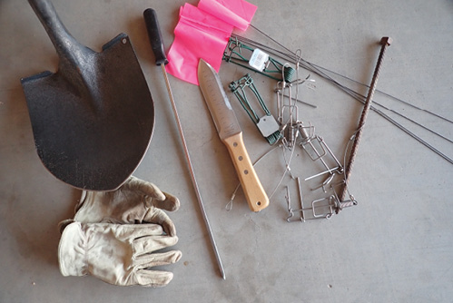 A collection of trapping tools, including gloves, shovel, tunnel probe, narrow trowel, stakes, and traps with tethers.