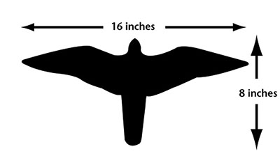 Fig. 05: Illustration of a hawk/falcon silhouette.