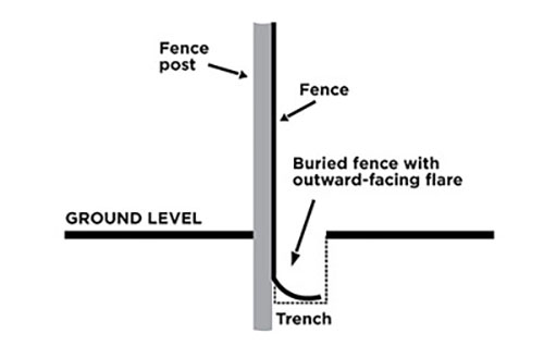 Figure 03: Illustration showing a buried fence to protect an area from skunks.