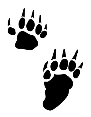 Figure 02: Illustration of skunk tracks.