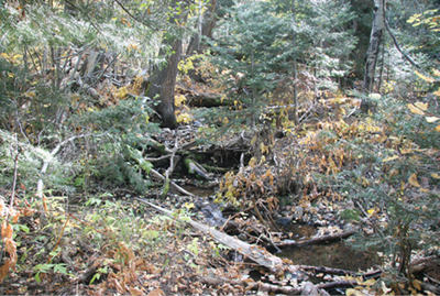 Figure 4e. Photograph of the La Jara Watershed. This photo shows La Jara Creek.