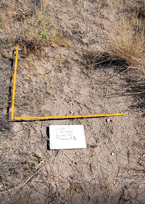 Fig. 03: Photograph of a white board and measuring stick on the ground.