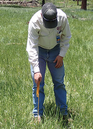 Fig. 05: Photograph of a person leaning down while holding a measuring stick to their boot tip.