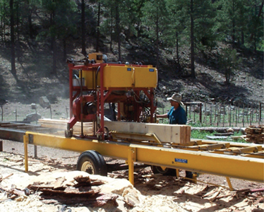 Fig. 2: A small-scale sawmill in use.
