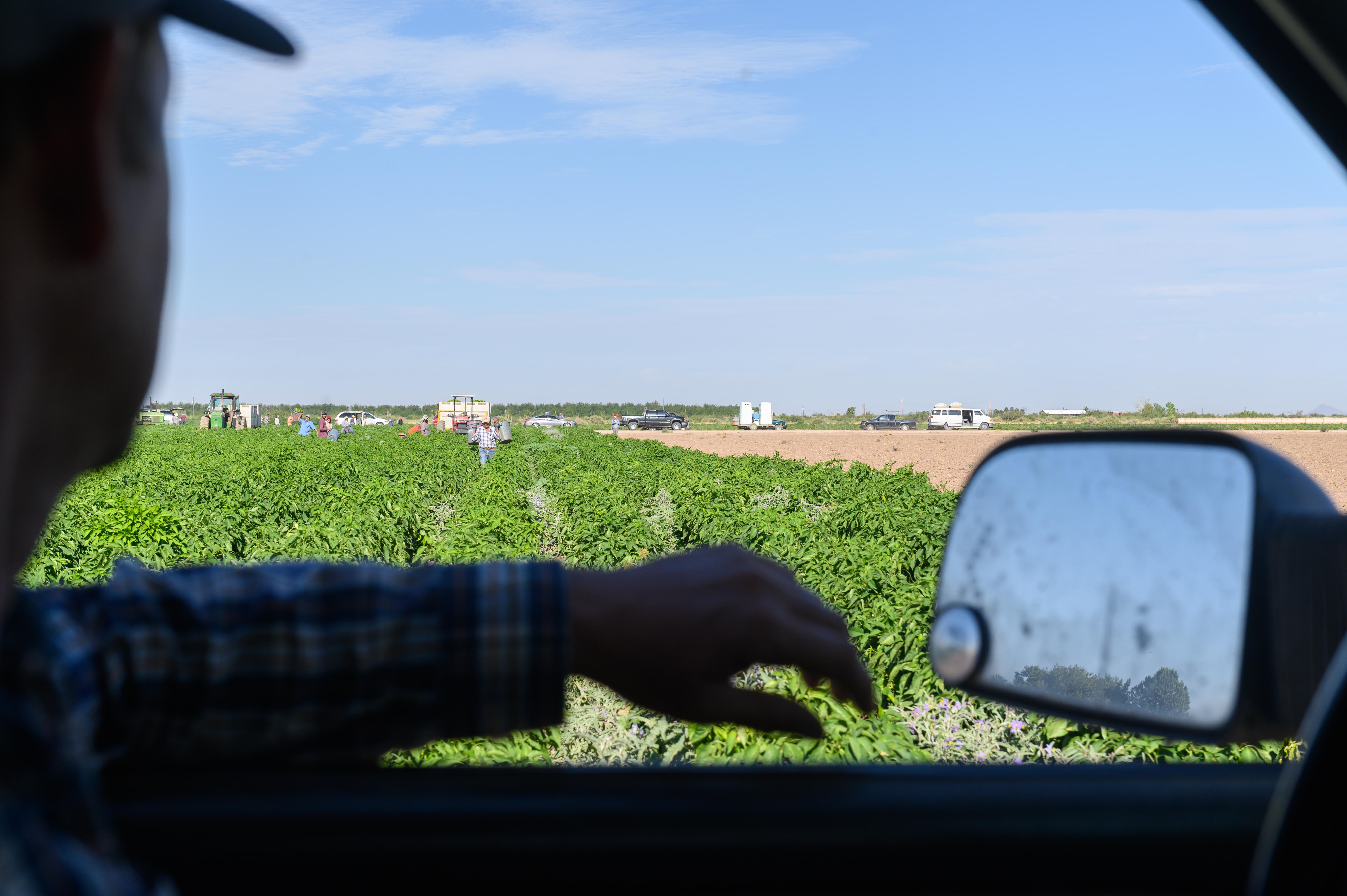 View from inside a vehicle looking out over a green crop field with farm workers and parked vehicles in the distance under a clear blue sky.