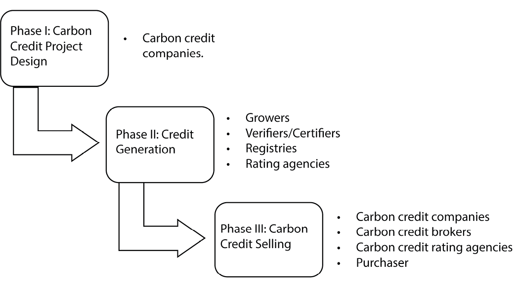 Alt-text: A flowchart with three vertically aligned squares, each representing a phase in carbon credit generation. • Phase I: Carbon credit project design (with "Carbon credit companies" listed to the right). • Phase II: Credit generation (with "Growers, Verifiers/Certifiers, Registries, Rating agencies" listed to the right). • Phase III: Carbon credit selling (with "Carbon credit companies, Carbon credit brokers, Carbon credit rating agencies, Purchasers" listed to the right). Arrows connect each square to the one below it. The graphic is titled "Figure 1: Phases of Carbon Credit Generation and Key Players."