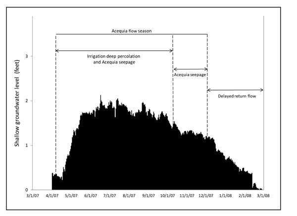 Figure 03: Bar graph showing shallow groundwater level fluctuations averaged across 28 monitoring wells in the Alcalde-Velarde valley for the 2008 irrigation season through the beginning of the 2009 season.