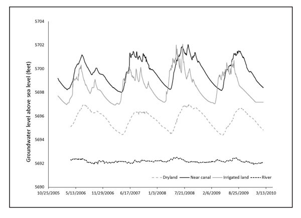 Figure 04: Line graph showing water table fluctuations in wells located along one transect at Alcalde, NM.