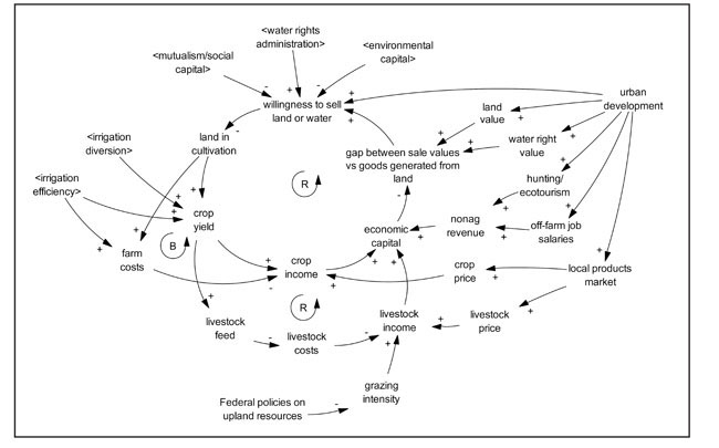 Figure 04: Land use and economics causal loop diagram. The land use and economics causal loop diagram displays several feedback loops that influence irrigators’ land use decisions, including major economic drivers, such as urban development and the linkages with hydrology, ecosystem, and mutualism and community dynamics components.