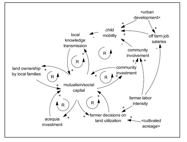 Figure 05: Mutualism and community dynamics causal loop diagram. The mutualism and community dynamics causal loop diagram displays important feedback loops of the acequia community that are centered on mutualism/social capital.