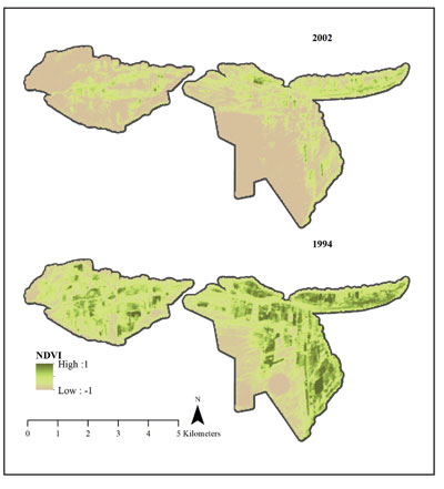 Figure 10: Map showing landscape irrigated by the Rio Hondo acequias in dry (2002) and wet (1994) years, showing that the irrigated networks are maintained to cover the landscape and that intensity of irrigation.
