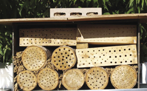 Photograph of a homemade ‘bee house.