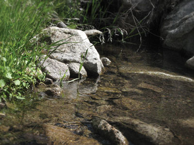 photo of a stream 