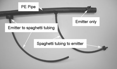 Fig. 2: Photograph showing drip pipe with spaghetti tubing to emitters.