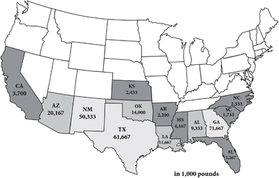 Fig. 1: Map showing U.S. 2001–2003 average utilized pecan production, by state.