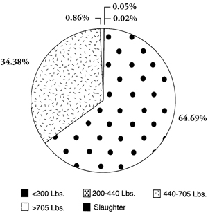 Fig. 13: Pie Chart of 2002 Total Value of Non-Breeding Cattle Imports to the United States from Mexico.