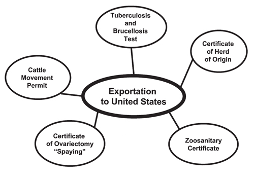 Chart of overview of requirements to export cattle from Chihuahua, Mexico, to the United States.