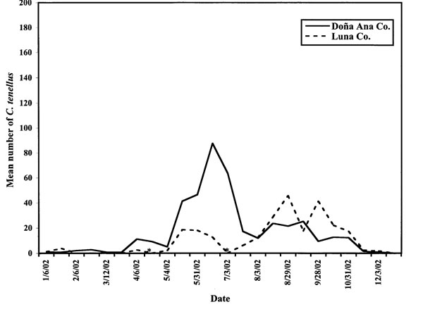 Line graph showing mean numbers of adult Circulifer tenellus caught on yellow sticky traps from the margins of chile fields in Doña Ana and Luna Counties, New Mexico, in 2002.