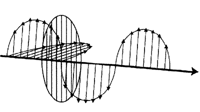 Fig. 02: Illustration showing a polarizer can be used to block one component, and thus polarize the light wave.