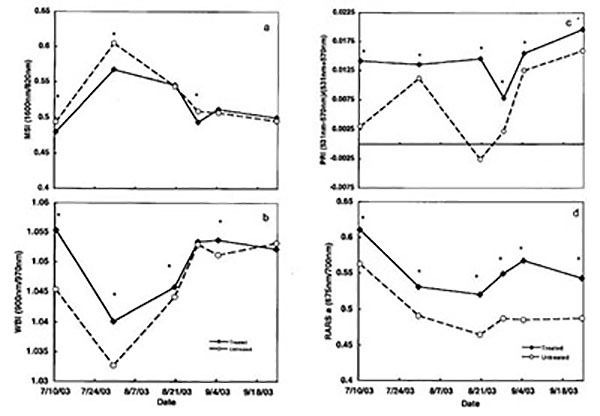 Fig. 01: Line graphs of moisture stress index (MSI) (a), water band index (WBI) (b), photochemical reflectance index (PRI) (c), and chlorophyll a (RARS a) (d) of kaolin-treated and untreated chile in 2003.