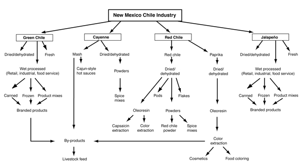 Illustration of New Mexico chile pepper industry flow chart.
