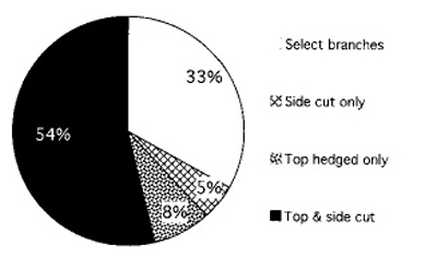 Fig. 3B: Pruning method by tree of surveyed orchards. 33% pruned select branches, 5% pruned as side cut only, 8% pruned as top hedge only, and 54% pruned as top and side cut. 