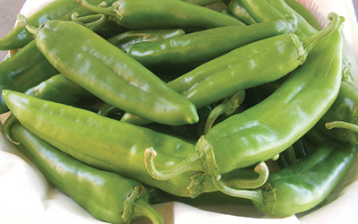 Photograph of ‘NuMex Sandia Select’ chiles.