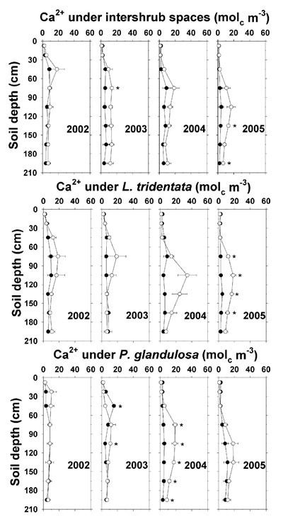 Figure 2+ concentration under intershrub space, L. tridentata, and P. glandulosa, with the non-irrigated plot as the closed symbol (C) and the irrigated plot as the open symbol (B). Further details as in Figure 1.