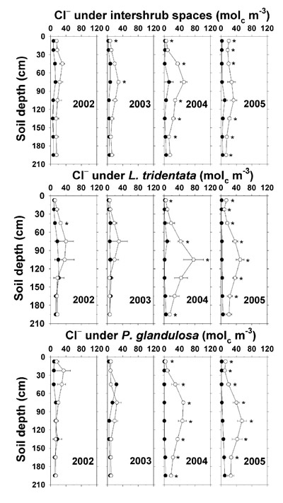 Figure – concentration under intershrub space, L. tridentata, and P. glandulosa, with the non-irrigated plot as the closed symbol (C) and the irrigated plot as the open symbol (B). Further details as in Figure 1.