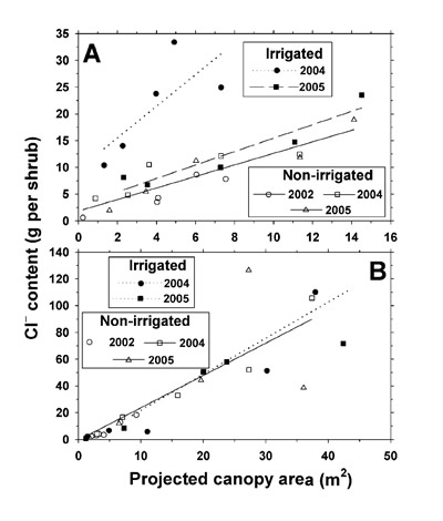 Figure – content per shrub and projected canopy area (PCA) of L. tridentata (A) and P. glandulosa (B) measured in dormant seasons of February 2002, March 2004, and March 2005. Each point represents a single shrub.
