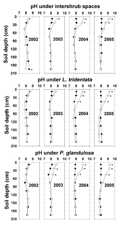  Figure L. tridentata, and P. glandulosa, with the non-irrigated plot as the closed symbol (C) and the irrigated plot as the open symbol (B). Each point is at the average sampled depth of 15- or 30-cm bulk cores and represents the mean + SE of triplicate determinations per sampled site. For some of the means, the SE is smaller than the symbol. Asterisks denote significant differences between the non-irrigated and irrigated plots at P ≤ 0.05 by two-sample t-test within ground type, year, and depth.