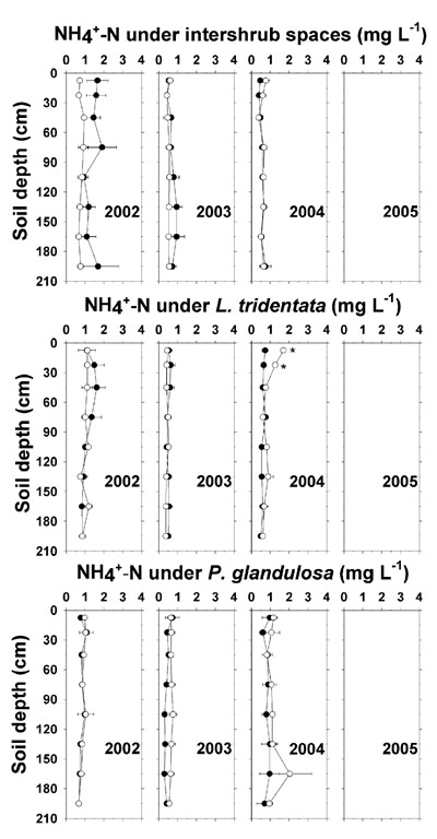 Figure 4 +-N concentration under intershrub space, L. tridentata, and P. glandulosa, with the non-irrigated plot as the closed symbol (C) and the irrigated plot as the open symbol (B). Analyses were discontinued after 2004. Further details as in Figure 1.