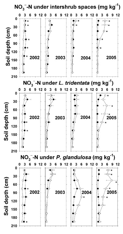 Figure -N concentration (dry weight basis) under intershrub space, L. tridentata, and P. glandulosa, with the non-irrigated plot as the closed symbol (C) and the irrigated plot as the open symbol (B). Saturation extract NO 3 --N (mg L -1) may be estimated by multiplying the plotted averages by 6 to account for the soil saturation percentage. Further details as in Figure 1.