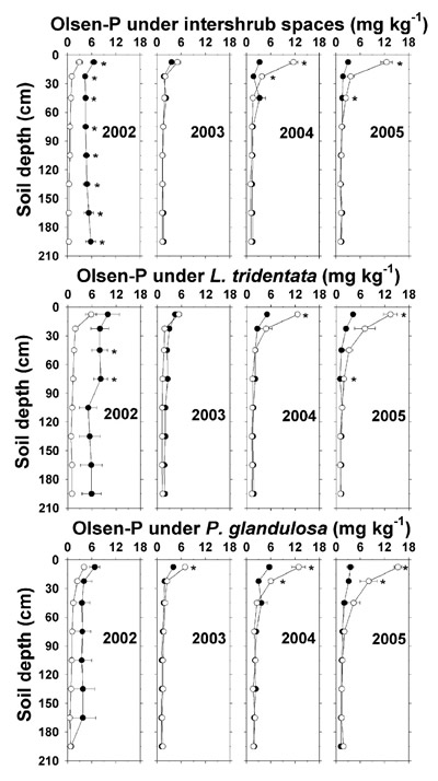 Figure L. tridentata, and P. glandulosa, with the non-irrigated plot as the closed symbol (C) and the irrigated plot as the open symbol (B). Further details as in Figure 1.