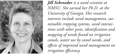 Fig. Jill Schroeder, Weed Scientist, New Mexico State University.