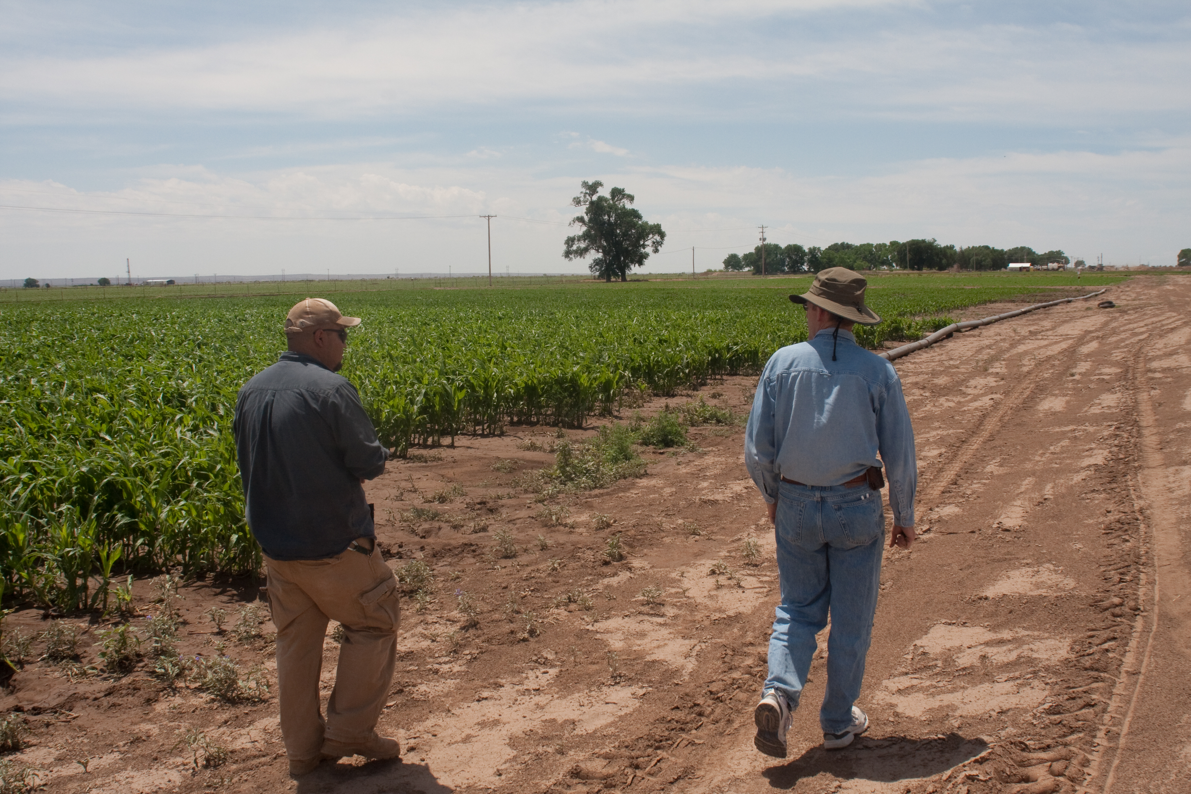 Two men walk along a dirt road beside a green crop field with irrigation pipe under a wide, cloudy sky.