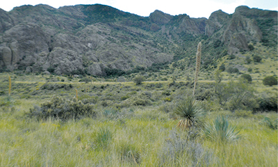 Fig. 01: Photograph of Bar Canyon, Organ Mountains, New Mexico.