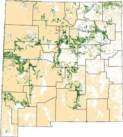 Fig. 01: Map showing pinyon-juniper distribution on private and state trust lands in New Mexico.