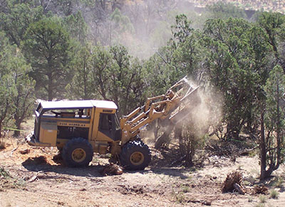 Photograph of a backhoe knocking down pinyon trees.