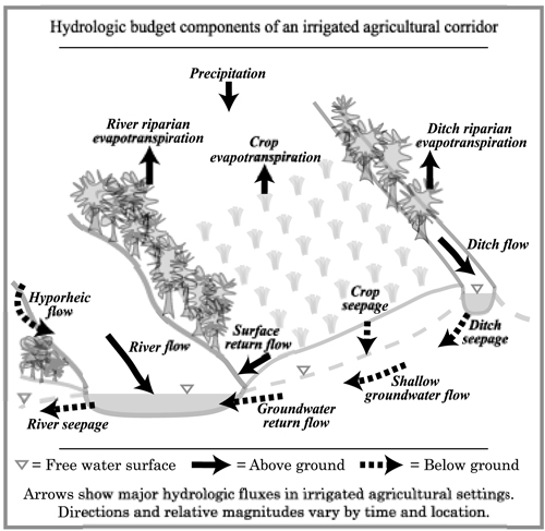 Hydrologic budget components of an irrigated agricultural corridor