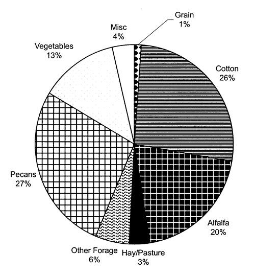 Pie chart of distribution of Crops Planted Among All Farmers, Summer 2004. Source: Elephant Butte Irrigation District. 